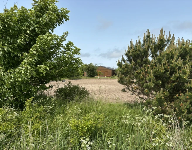 Reitschule Olivenhof Reitplatz