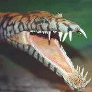 04 Nothosaurus mirabilis.jpg