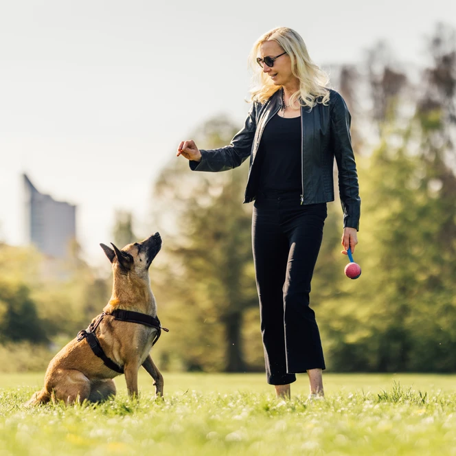 Hundewiese im Rosental - Urlaub mit Hund in Leipzig