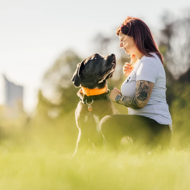 Hundewiese im Rosental - Urlaub mit Hund in Leipzig