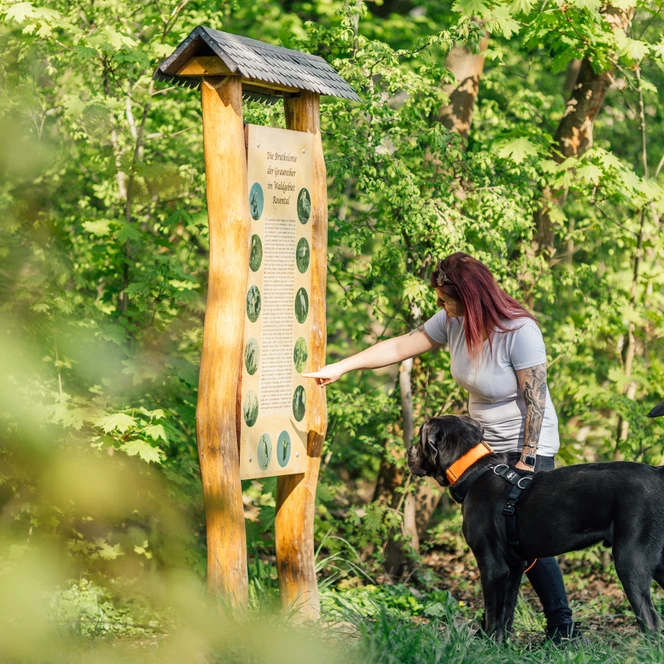Spaziergang im Rosental - Urlaub mit Hund in Leipzig
