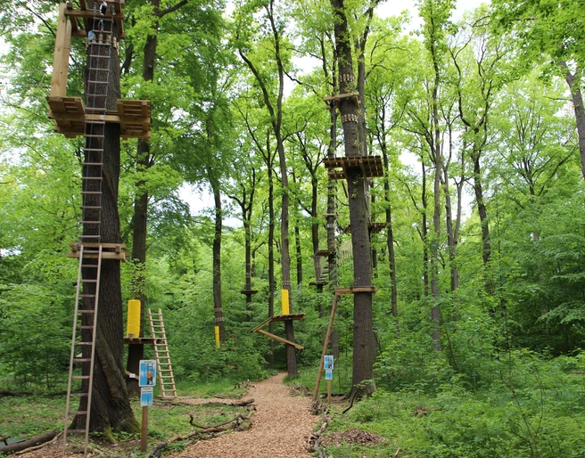 Kletterwald Königstein Kletterwald Königstein mit hohen Plattformen und Leitern an Bäumen, umgeben von dichtem grünen Laub; ruhige und abenteuerliche Atmosphäre.