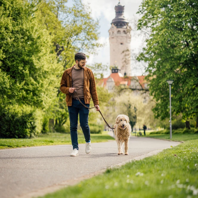 Spaziergang im Johannapark - Urlaub mit Hund in Leipzig