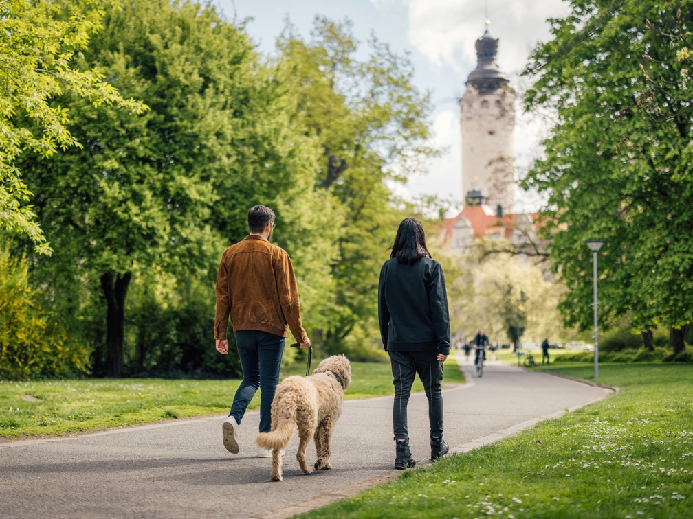 Spaziergang im Johannapark - Urlaub mit Hund in Leipzig Ein Mann und eine Frau gehen gemeinsam mit ihrem Hund im Johannapark in der Leipziger Innenstadt spazieren und laufen in Richtung Neues Rathaus