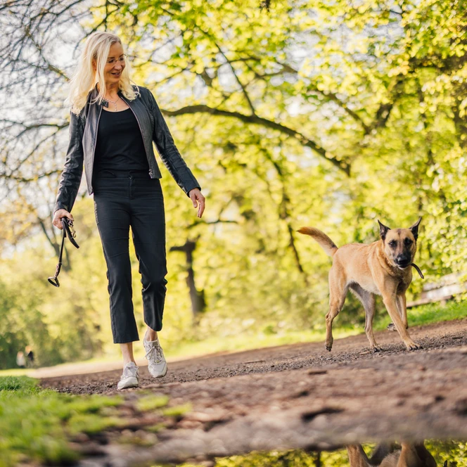Spaziergang im Rosental - Urlaub mit Hund in Leipzig