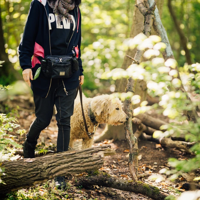 Spaziergang im Leipziger Auwald - Urlaub mit Hund in Leipzig