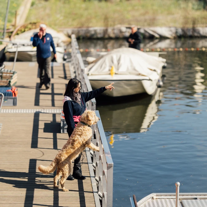 Bootsanlegestelle des Stadthafen Leipzig – Urlaub mit Hund in Leipzig