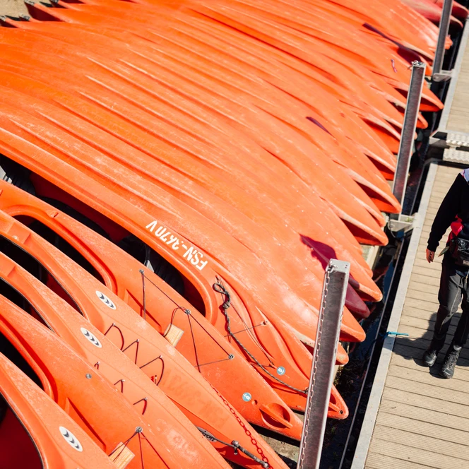 Kajakfahren am Stadthafen Leipzig – Urlaub mit Hund in Leipzig