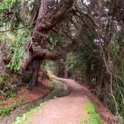 Bergwasser Rosswald