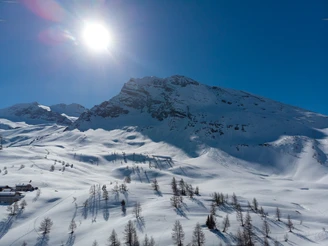 Hübschhorn