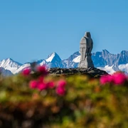 Simplon Adler