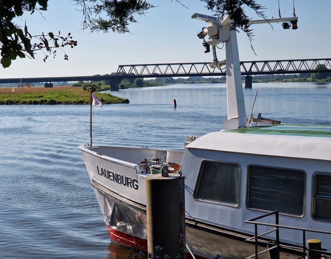 MS Lauenburg©Mareike Bodendieck (4).jpg