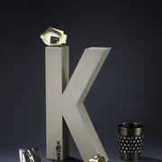 Image 1_Kampmann.jpeg