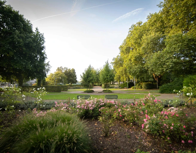 pflanzen-sommer-garten-stadthalle-muelheim.jpg Pflanzen im Sommer im Stadthallengarten in Mülheim an der Ruhr
