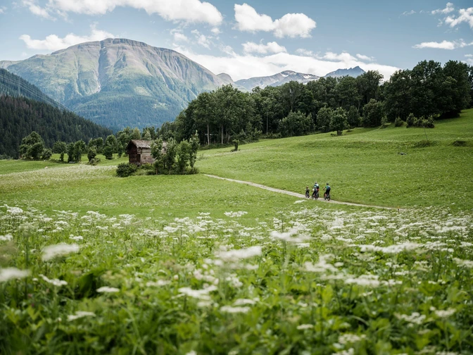 Familien Mountainbike Erlebnis in der Aletsch Areana