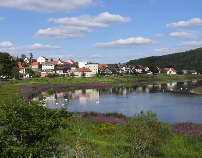 Seggenried in Herzhausen