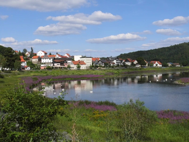 Seggenried in Herzhausen