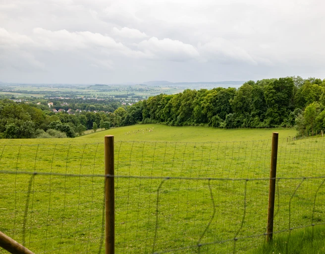 1Borntalwiesen.jpg Blick über Einbeck
