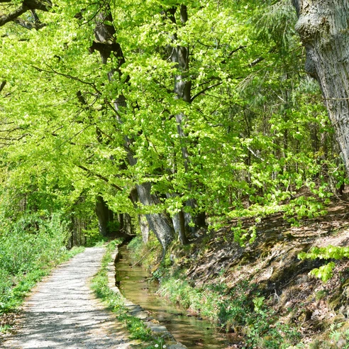 Wandern A2 Stadtwasser Quer