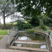 tretbecken_godelheim_mariealthaus.jpg Tretbecken mit Bepflanzung in der Mitte