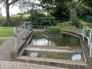 tretbecken_godelheim_mariealthaus.jpg Tretbecken mit Bepflanzung in der Mitte