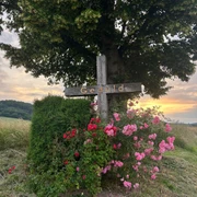 kreuz_godelheim_mariealthaus.jpg Schönes Holzkreuz unter einem Baum mit Bepflanzung