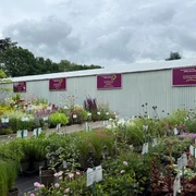 Bild2.jpg Ein blühendes Gartencenter unter grauem Himmel. Farbvolle Pflanzen und Blumen reihen sich vor einem Metallgebäude.