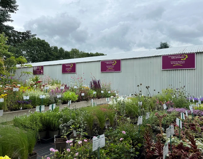 Bild2.jpg Ein blühendes Gartencenter unter grauem Himmel. Farbvolle Pflanzen und Blumen reihen sich vor einem Metallgebäude.
