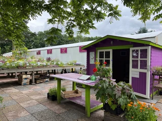 Bild1.jpg Ein lilafarbenes Häuschen steht vor einem Parkplatz. Umgeben von Pflanzen und Bäumen strahlt es in der grünen Umgebung.
