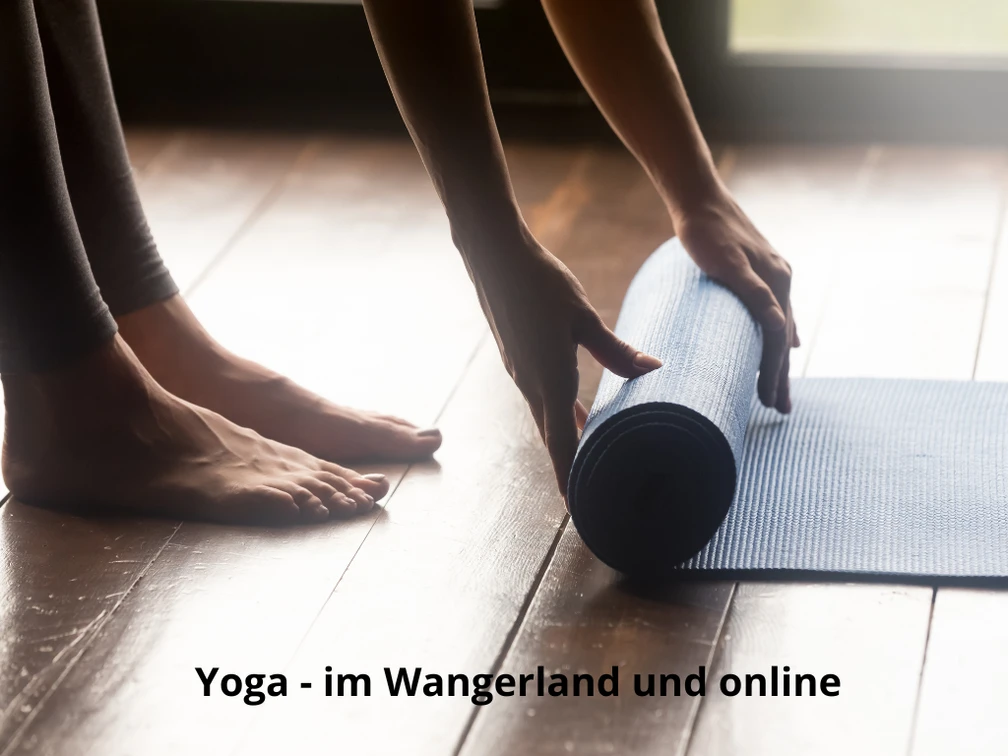 Yogakurs im Wangerland und online.png