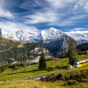 zug-winteregg-muerren-sommer-flora-aussicht-bergwelt.jpg