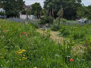 Sandarium2.jpg Ansicht des Sandariums