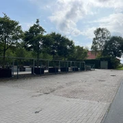 Dingsfelderweg.jpg Auf dem Bild ist ein ruhiger Parkplatz mit Bäumen entlang eines Zauns zu sehen. Das Wetter ist leicht bewölkt.