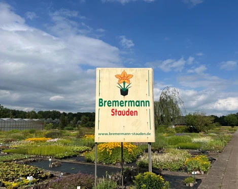 Schildbild.jpg Schild mit der Aufschrift „Bremermann Stauden“ und einer stilisierten Blume, umgeben von Pflanzenfeldern.