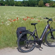 Ein E-Bike steht auf einem Feldweg vor einer blühenden Wiese mit Mohnblumen und einem Waldhintergrund.