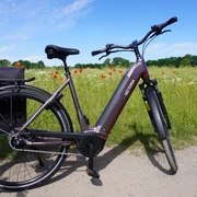 Ein modernes E-Bike steht auf einem Feldweg vor einer blühenden Wiese mit Mohnblumen und blauem Himmel.