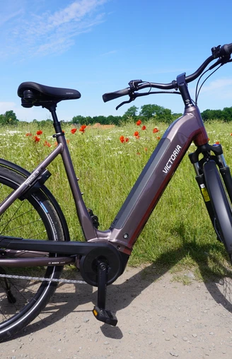 Radfahren in der Mittelweser-Region Ein modernes E-Bike steht auf einem Feldweg vor einer blühenden Wiese mit Mohnblumen und blauem Himmel.