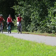 Radfahren in der Mittelweser-Region Drei Radfahrer in rot auf einem asphaltierten Weg, gesäumt von grünen Bäumen und Wiesen.