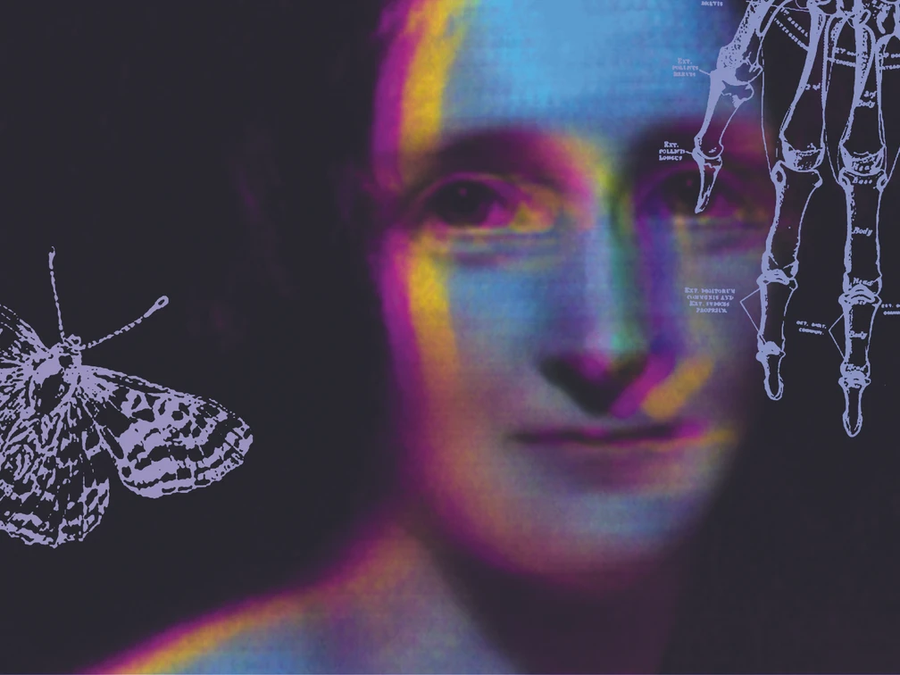 stille hunde WERBEMOTIV Frankenstein 2.jpg Buntes Gesicht auf schwarzem Hintergrund und Skizze eines Falters und eines Handskeletts