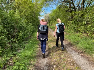 Wandern in der Mittelweser-Region Zwei Frauen mit Rucksäcken wandern auf einem grünen Waldpfad unter klarem, blauen Himmel.