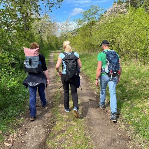 Wandern in der Mittelweser-Region Drei Personen wandern auf einem naturbelassenen Weg, umgeben von frischem Grün und blauem Himmel.