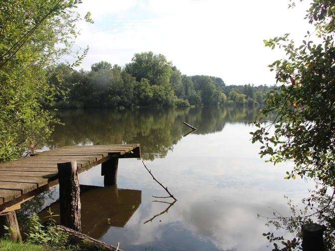 Holzsteg am Ufer eines ruhigen Sees, umgeben von üppigem Grün und Bäumen. Friedliche Atmosphäre.