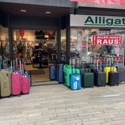Alligator.jpg Schaufenster und Eingangsbereich des Geschäfts. Neben der Eingangstür stehen jeweils rechts und links Koffer in verschiedenen Farben und Formen.
