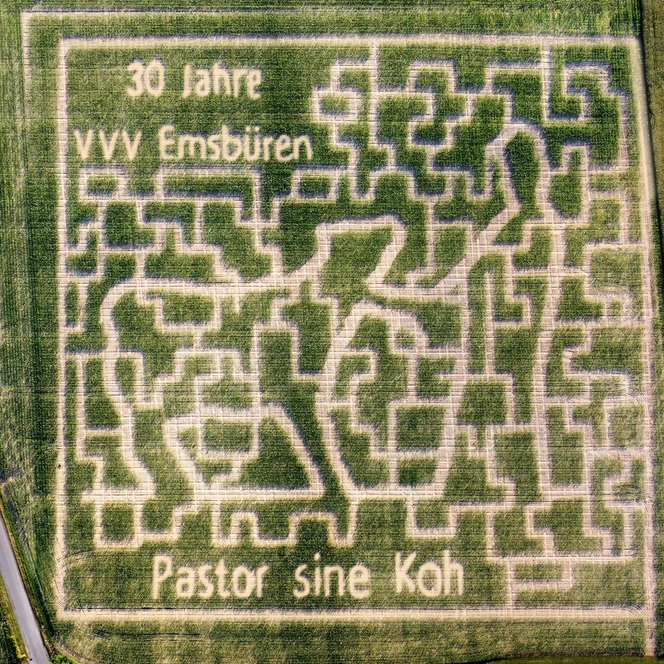Maisirrgarten_2025.jpg