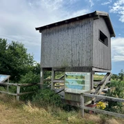 Beobachtungsturm Meerbruchswiesen Beobachtungsturm aus Holz umgeben von blühenden Wiesen unter einem leicht bewölkten Himmel.