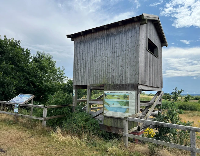 Beobachtungsturm Meerbruchswiesen Beobachtungsturm aus Holz umgeben von blühenden Wiesen unter einem leicht bewölkten Himmel.