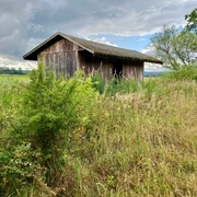 Beobachtungshütte Gänsewiese Eine Holzbeobachtungshütte steht inmitten hoher Gräser und umgeben von Bäumen unter bewölktem Himmel.
