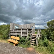 Beobachtungsturm Kranichplatz Holzbeobachtungsturm mit Treppe, umgeben von grüner Vegetation. Bank im Vordergrund unter Wolkenhimmel.