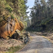 Nationalparkradweg von Stadt Wehlen zur Bastei