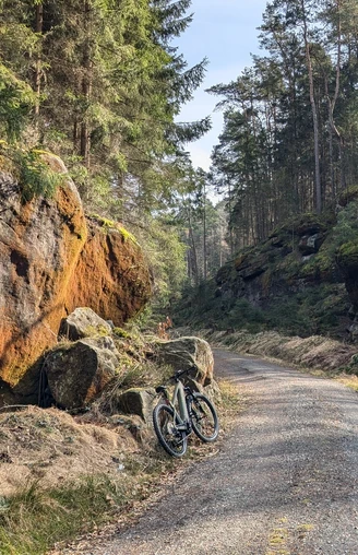 Nationalparkradweg von Stadt Wehlen zur Bastei